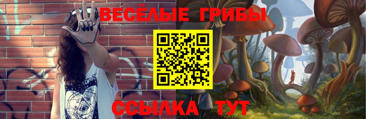 наркошоп  Вход с VPN  Омск  Галлюциногенные грибы GOLDEN TEACHER  Галлюциногенные грибы Magic Shrooms 